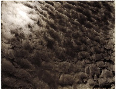 alfred-stieglitz-41