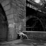 dane shitagi ballerina project