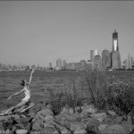 dane shitagi ballerina project