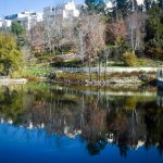 צילום טבע: נאווה חדד