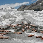 spencer-tunick-swiss-glacier-greenpeace