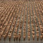 spencer-tunick11