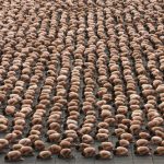 spencer_tunick_ap